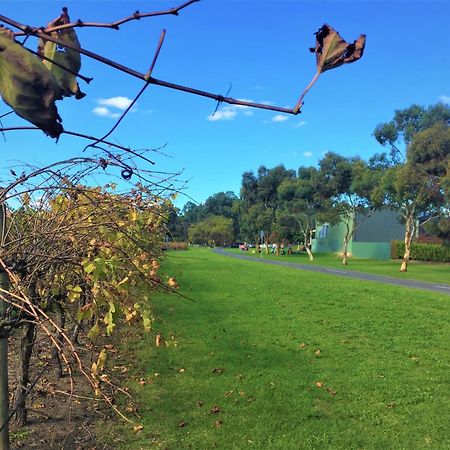 Mclaren Vale Studio Apartments Luaran gambar