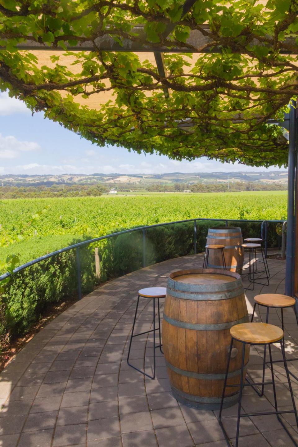 Mclaren Vale Studio Apartments Luaran gambar