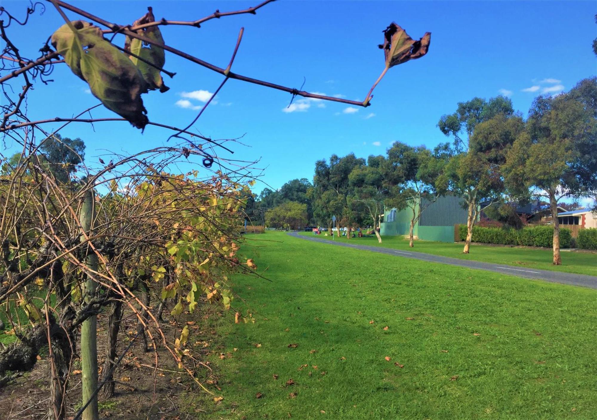 Mclaren Vale Studio Apartments Luaran gambar